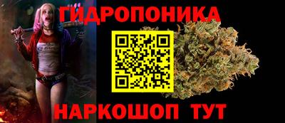 шишки Балаково