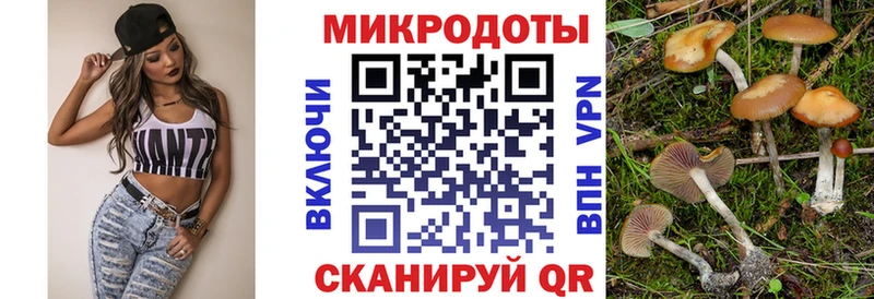 Галлюциногенные грибы мухоморы  дарнет шоп  Асино 