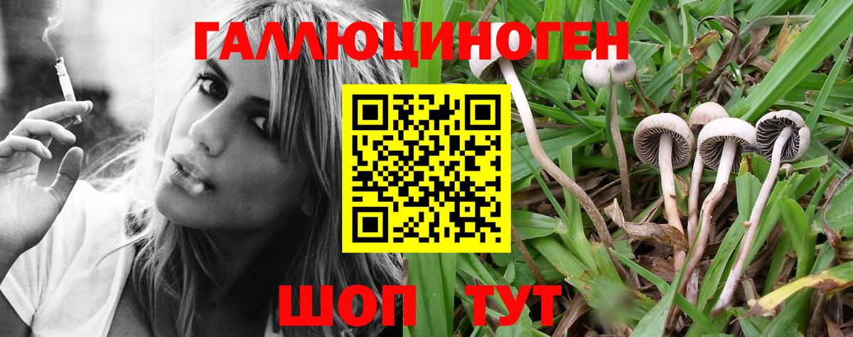 сколько стоит  Псилоцибиновые грибы Psilocybe  Вход с VPN  Асино 