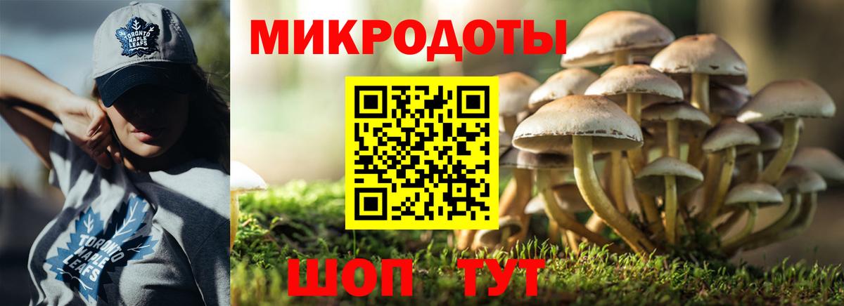 Псилоцибиновые грибы мухоморы Асино